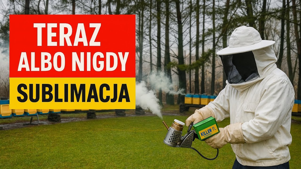 Teraz albo nigdy! 90% pszczelarzy źle robi sublimację – mój skuteczny system przed zimą