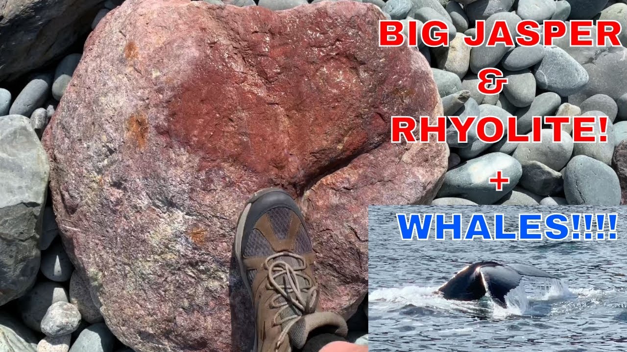 Beach JASPER and RHYOLITE finds | Rockhounding Newfoundland Beaches #3 | PLUS WHALE WATCHING TOUR!!!