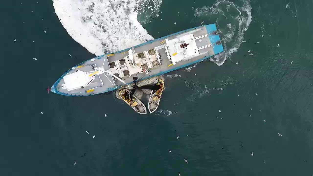 TRAILER: Our Menhaden Fishing Family