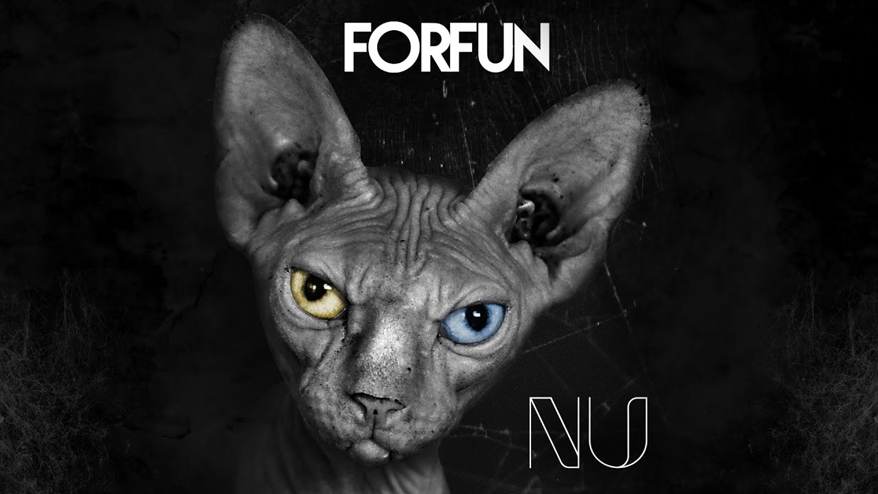 Forfun - Coisa Pouca