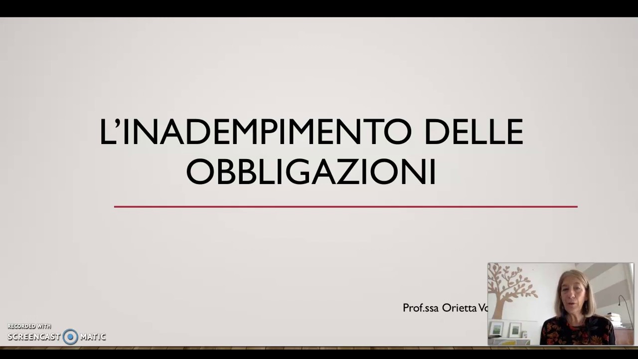LE OBBLIGAZIONI parte 3 L'INADEMPIMENTO