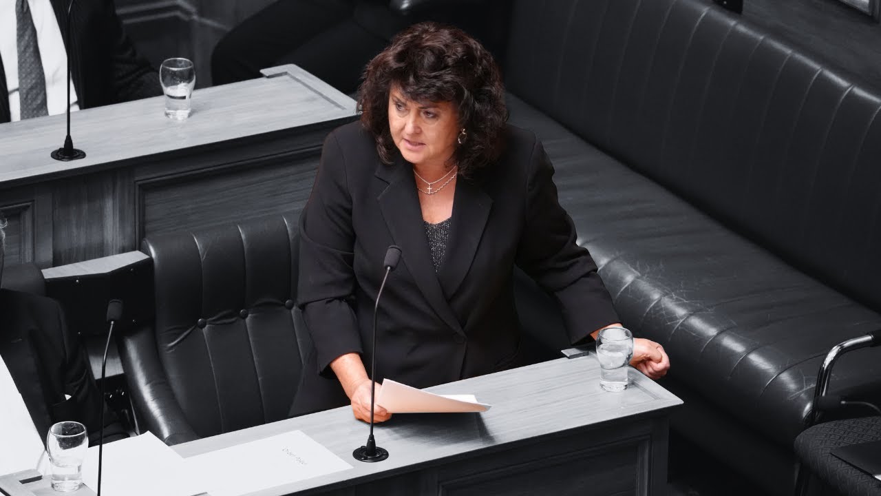 Casey Costello: This isn't about haka, this is about the Maori Party's performative outrage
