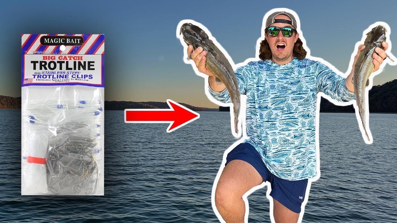 TROTLINE Fishing For BIG CATFISH! (Catch Clean & Cook)