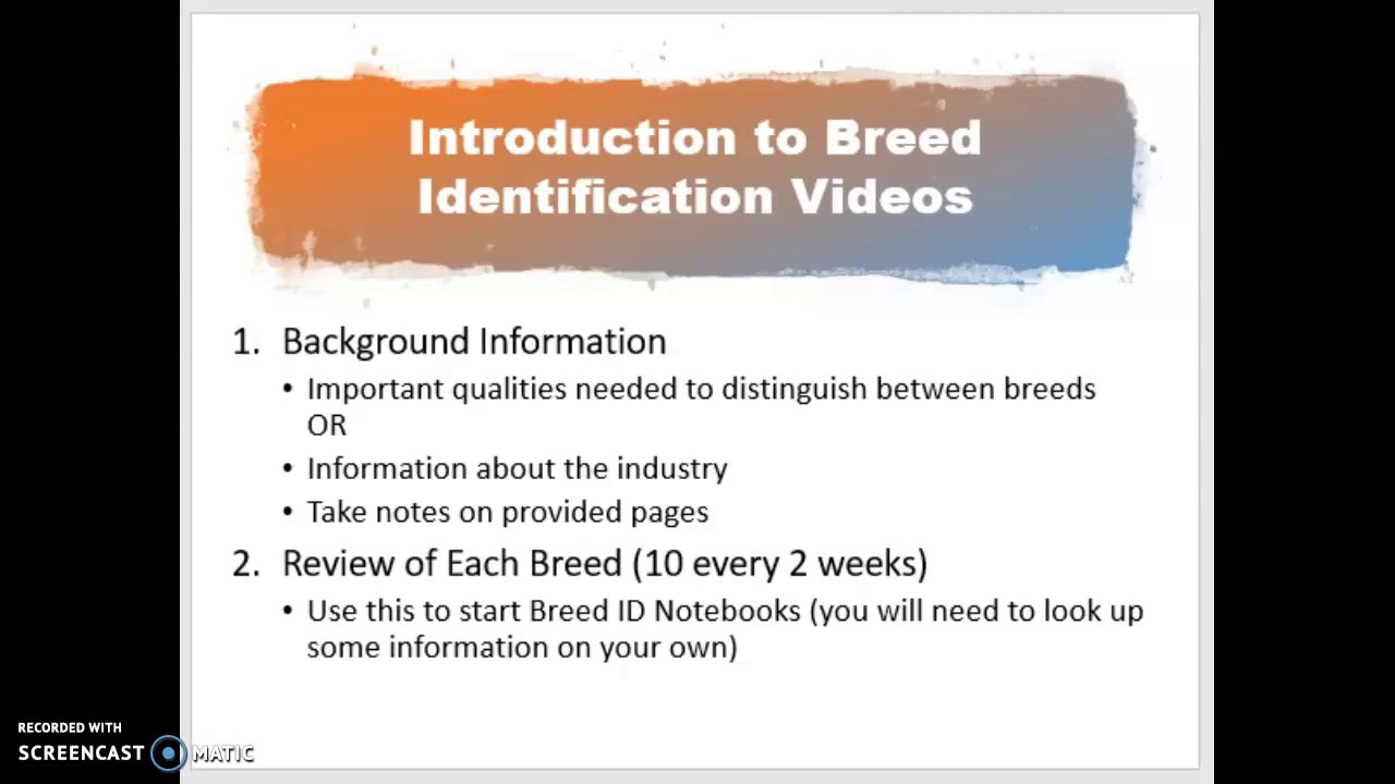 Beef Breeds Background Information
