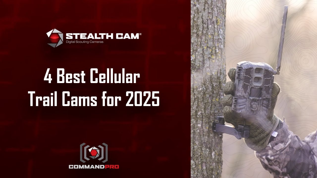 4 Best Cellular Trail Cams for 2025