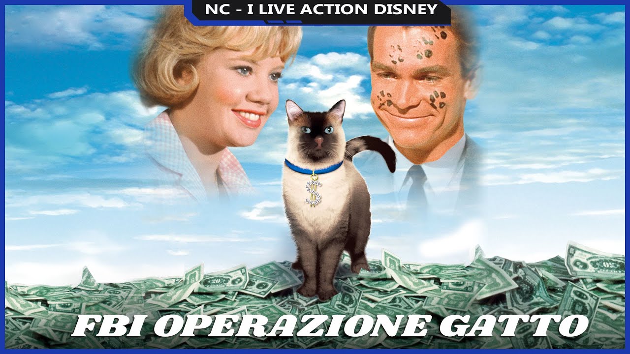 F.B.I. - Operazione gatto - Recensione E Analisi - I Live Action Disney