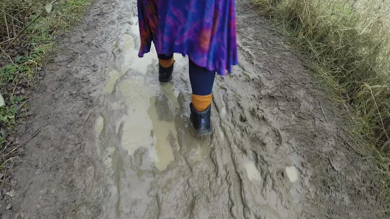 Ashby Canal, Stoke Golding to Ambion Wood