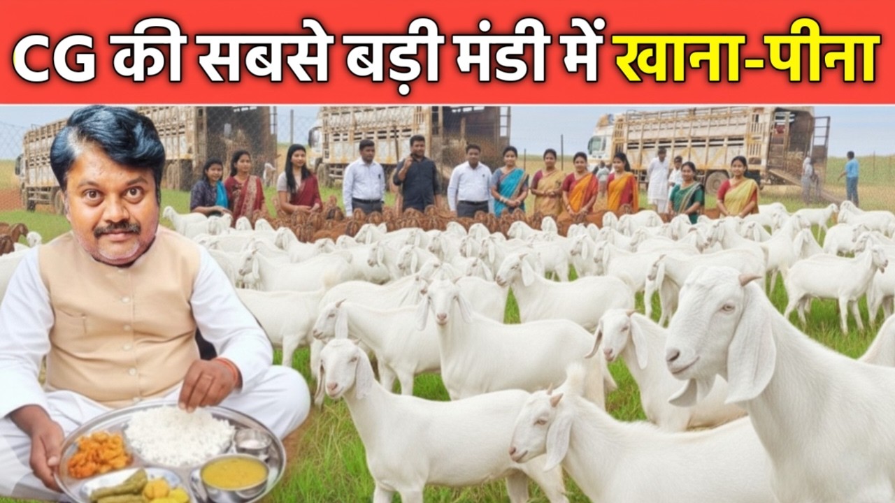 🐐🍛 CG की सबसे बड़ी बकरी मंडी और खाना-पीना 😍 | Basna Goat Market Full Tour 2025