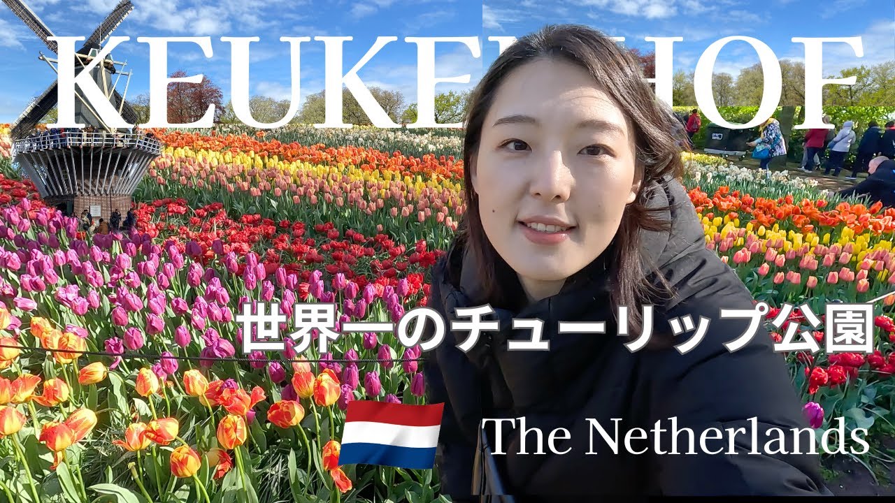 オランダ 世界一のチューリップ公園!キューケンホフ🇳🇱 チケット購入方法＆おすすめの行き方2024