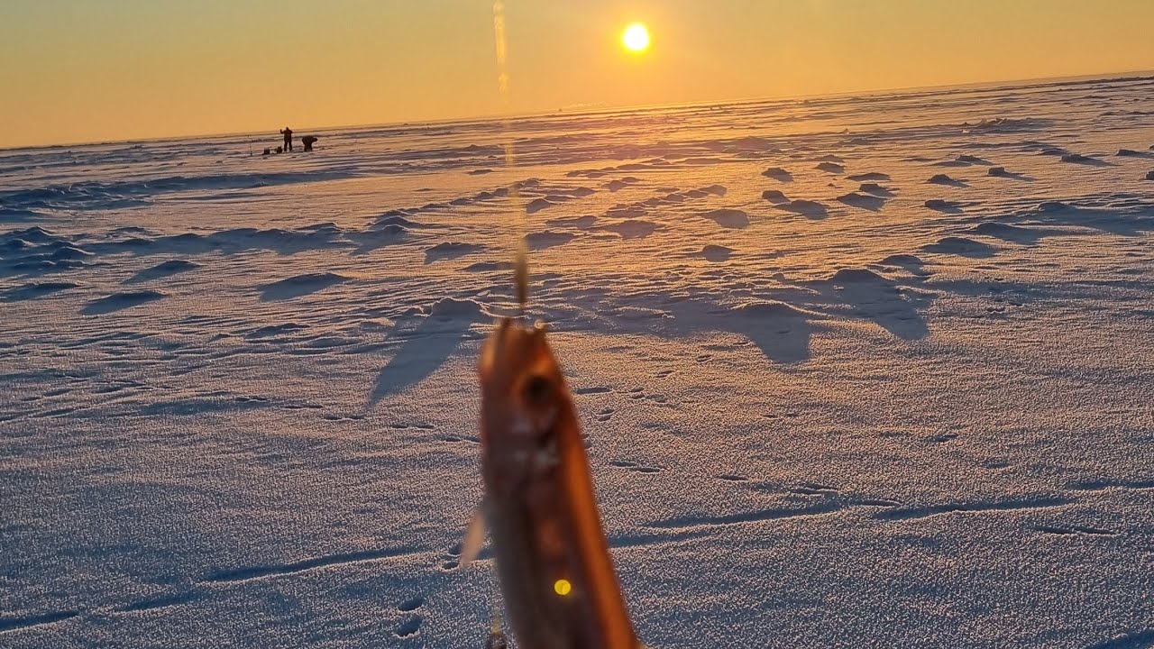 Корюшка. 21-й километр. 01.02.26. 