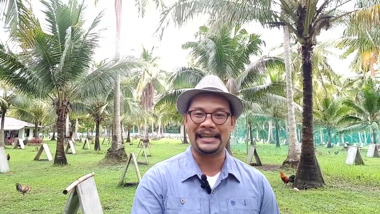 Bakit hindi gumagaling at pabalik balik ang Sipon ng manok mo