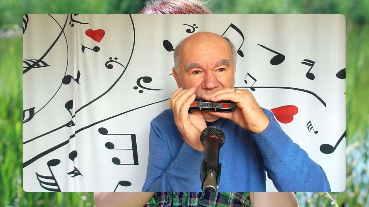 Ciao ciao bambina - Harmonica