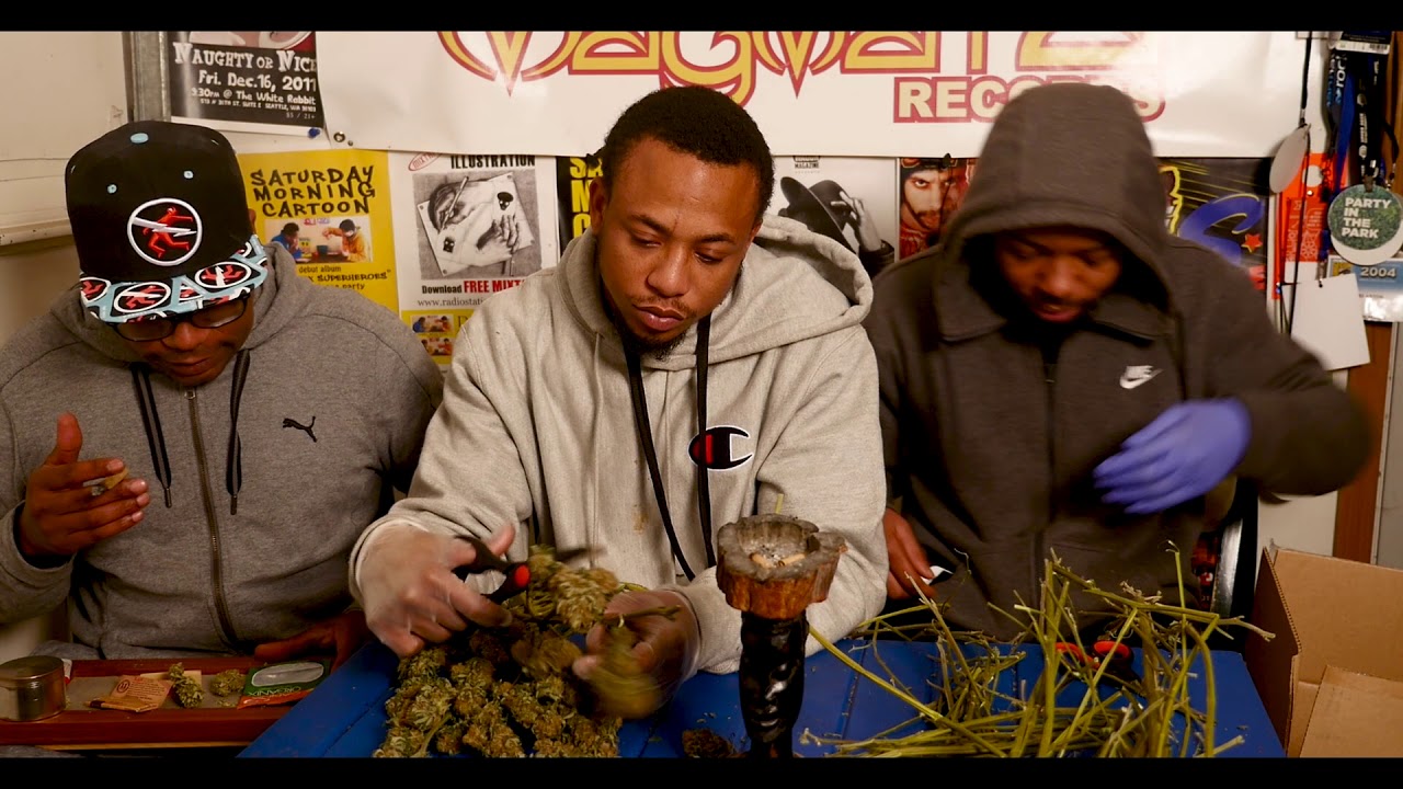BSL - The Review Show (Canna Organix - Gragefruit Skunk) | LUMIX GH4 S8 4K