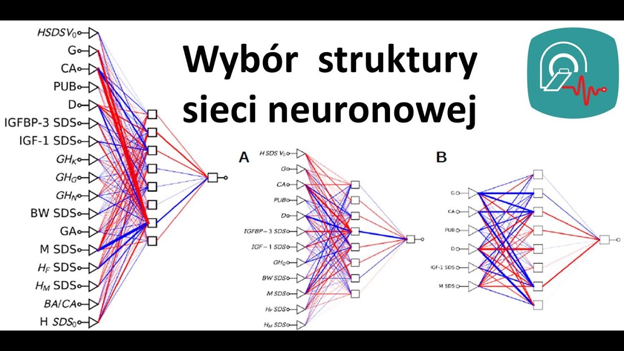 Wyb&oacute;r struktury sieci neuronowej