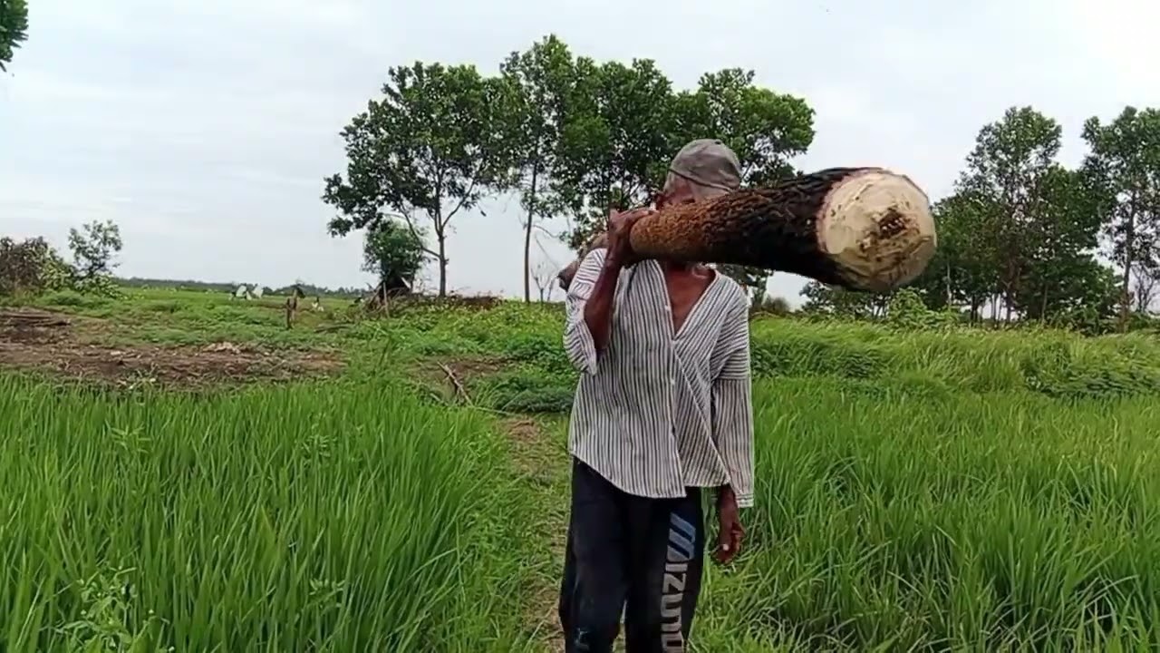 Petualangan membuat ranggon dan bikin rakit dari galon bekas. 