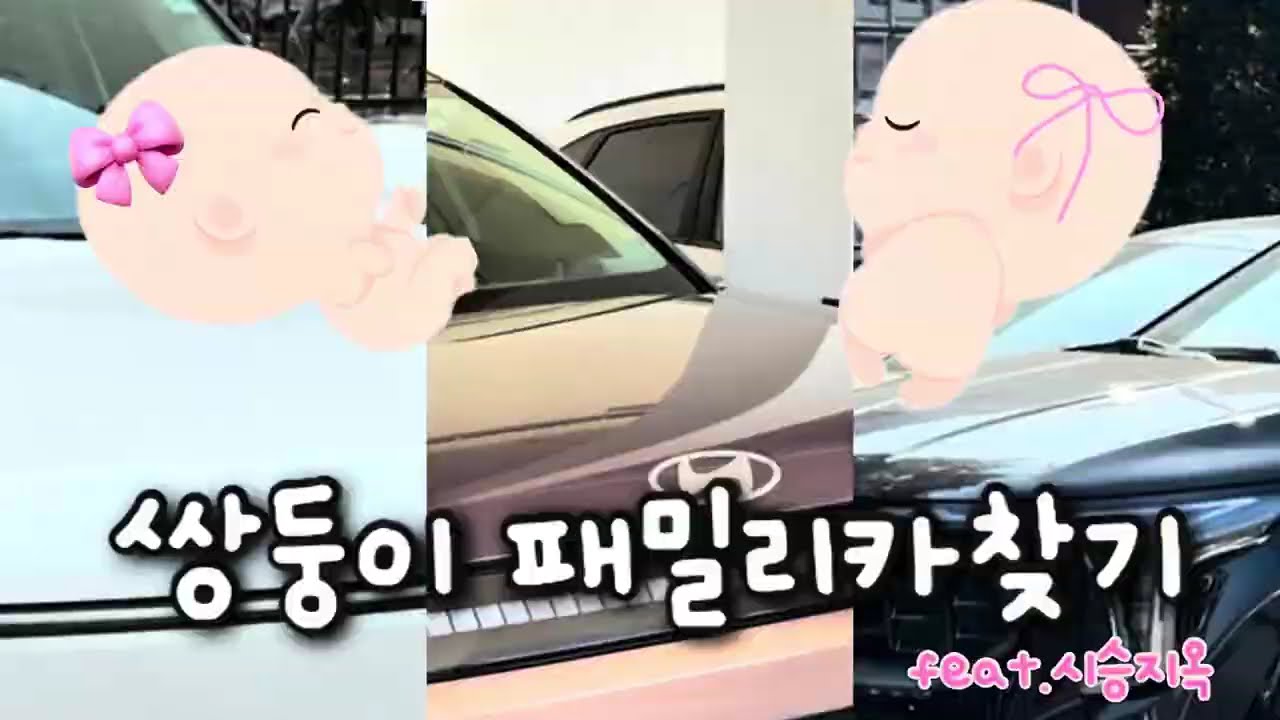 쌍둥이🍼 패밀리카🚙 찾기 1탄! (EV5, 아이오닉9, 카니발)