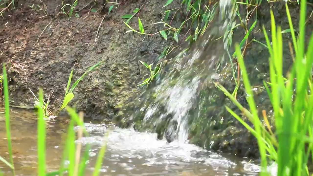 Soft Flowing Stream Sounds
