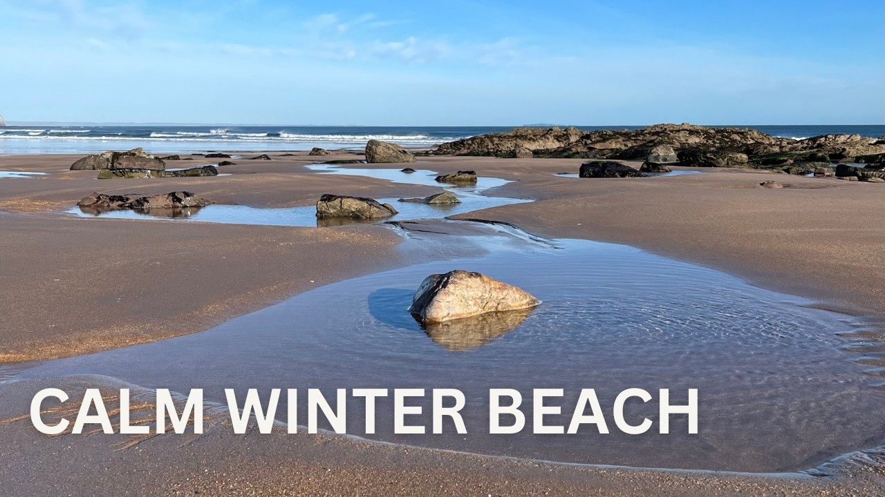 Relaxing Beach Sounds | Calm Morning by the Sea in Scotland