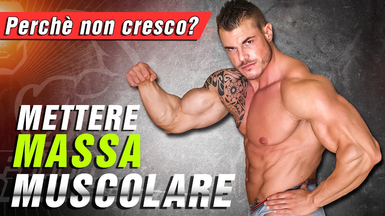 METTERE MASSA MUSCOLARE - Perchè non cresco? ▪ Team Commando
