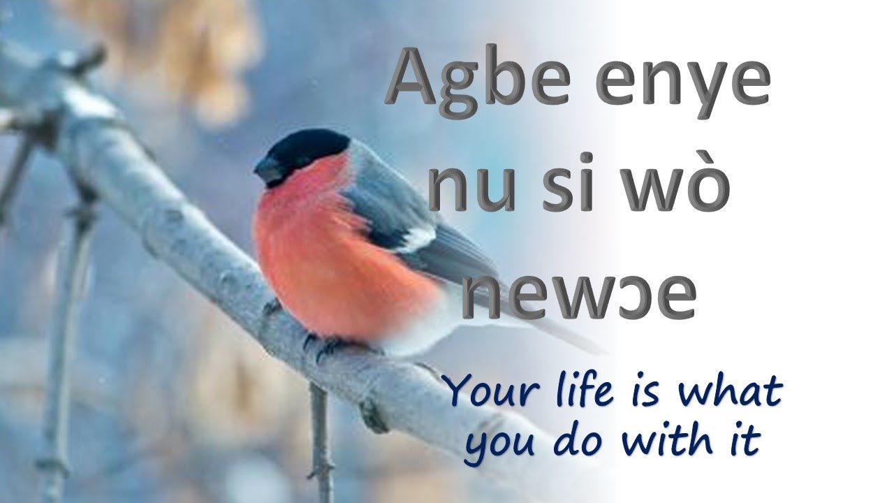 Your life is what you do with it