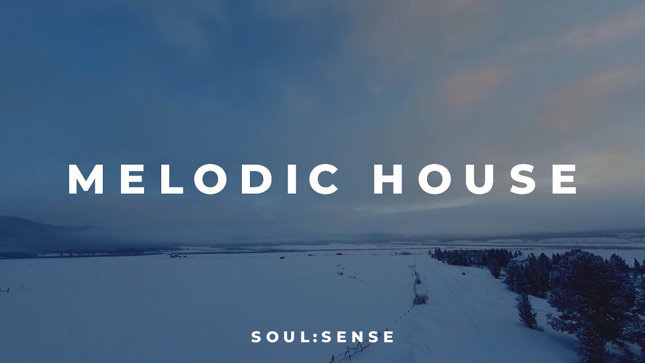 Melodic House Mix 2024 | [Rufus du Sol, Lane 8, Ben Bömer, Nora En Pure] 