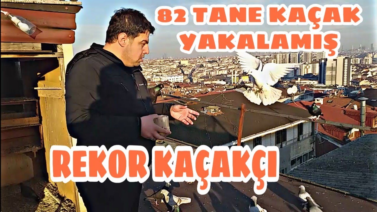BİRGÜNDE 82 TANE KAÇAK GÜVERCİN  REKOR KIRMIŞ