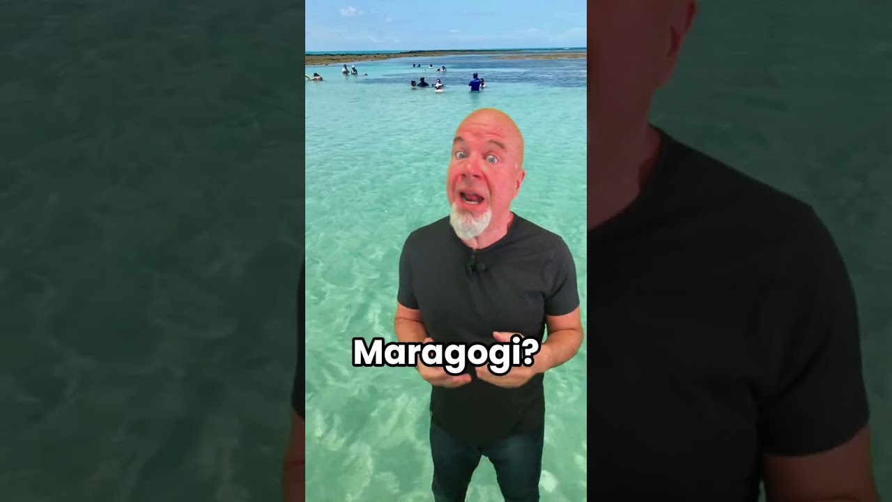 OS 5 PIORES BATE-VOLTAS QUE VOC&Ecirc; PODE FAZER