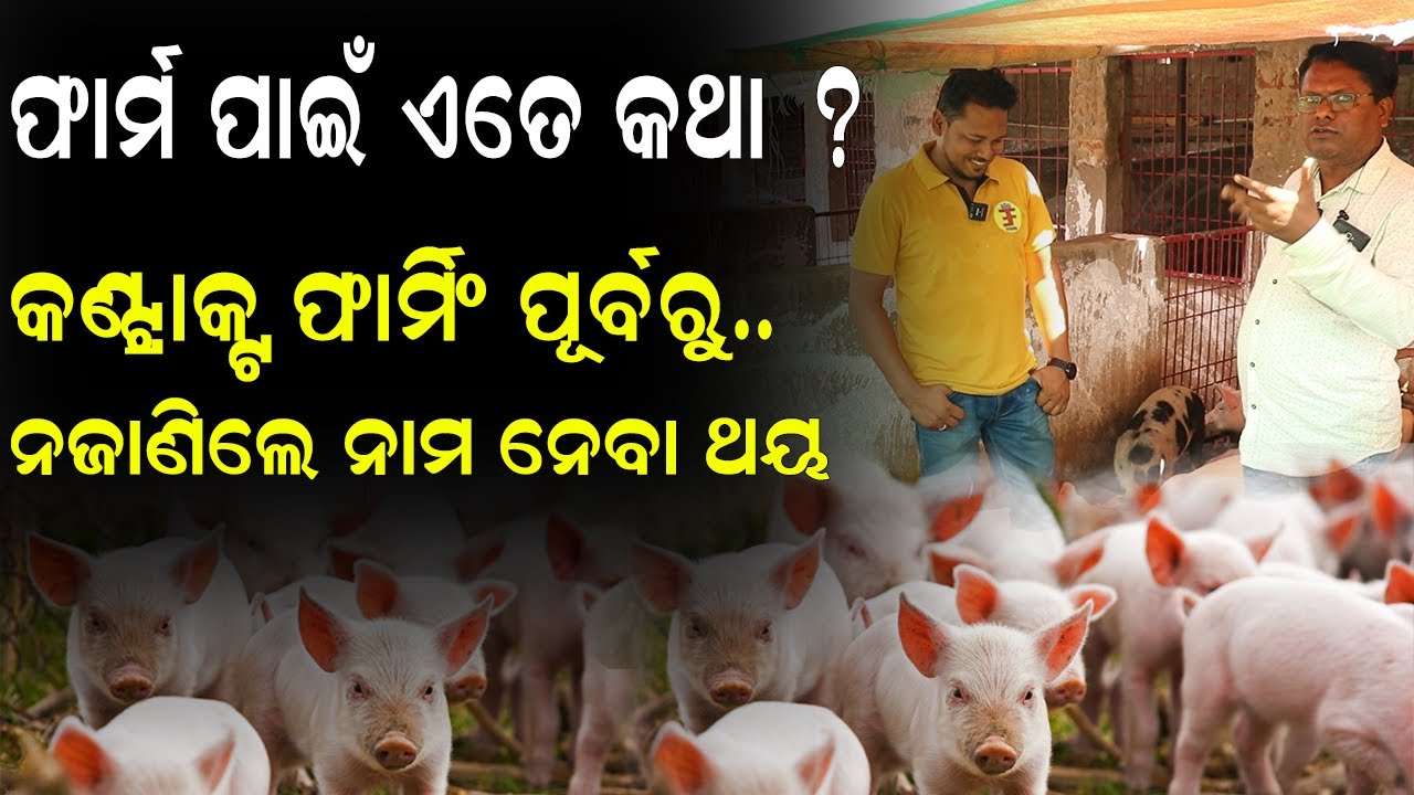 ଫାର୍ମ ପାଇଁ  କିଛି ଅଜଣା କଥା || How To Start Pig Farm In Odisha