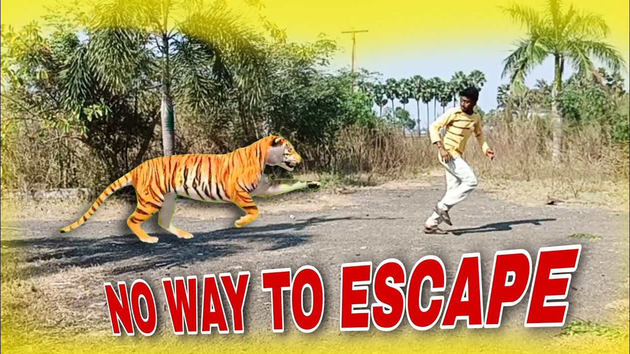 A Tiger attack to Village farmer boy at forest! Watching time #wildanimals