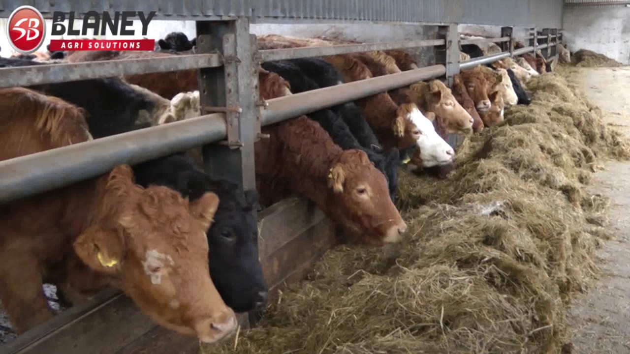 Blaney Agri - Demo Series (Armagh-Down)
