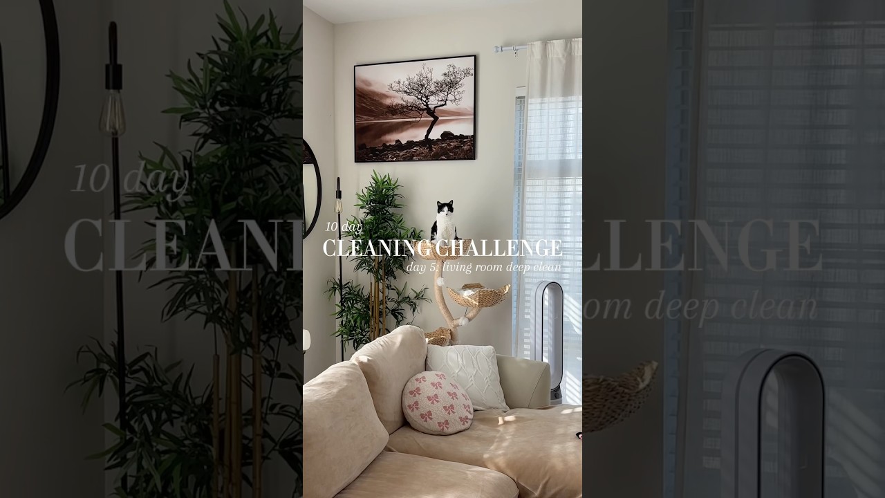 10 day cleaning challenge 🧼💫 ~ day 5: living room deep clean 🛋️ #home #cleaning #livingroom