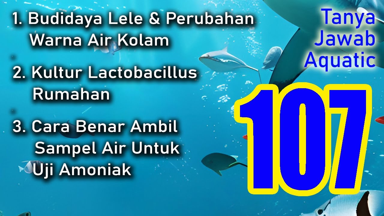 Tanya Jawab Aquatic 107