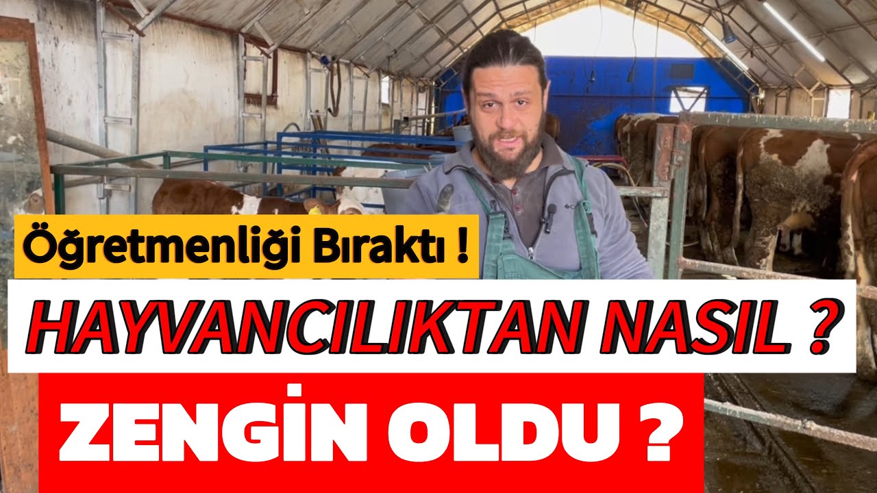 ÖĞRETMENLİĞİ BIRAKTI  ! HAYVANCILIKTAN  ZENGİN Mİ OLDU ?