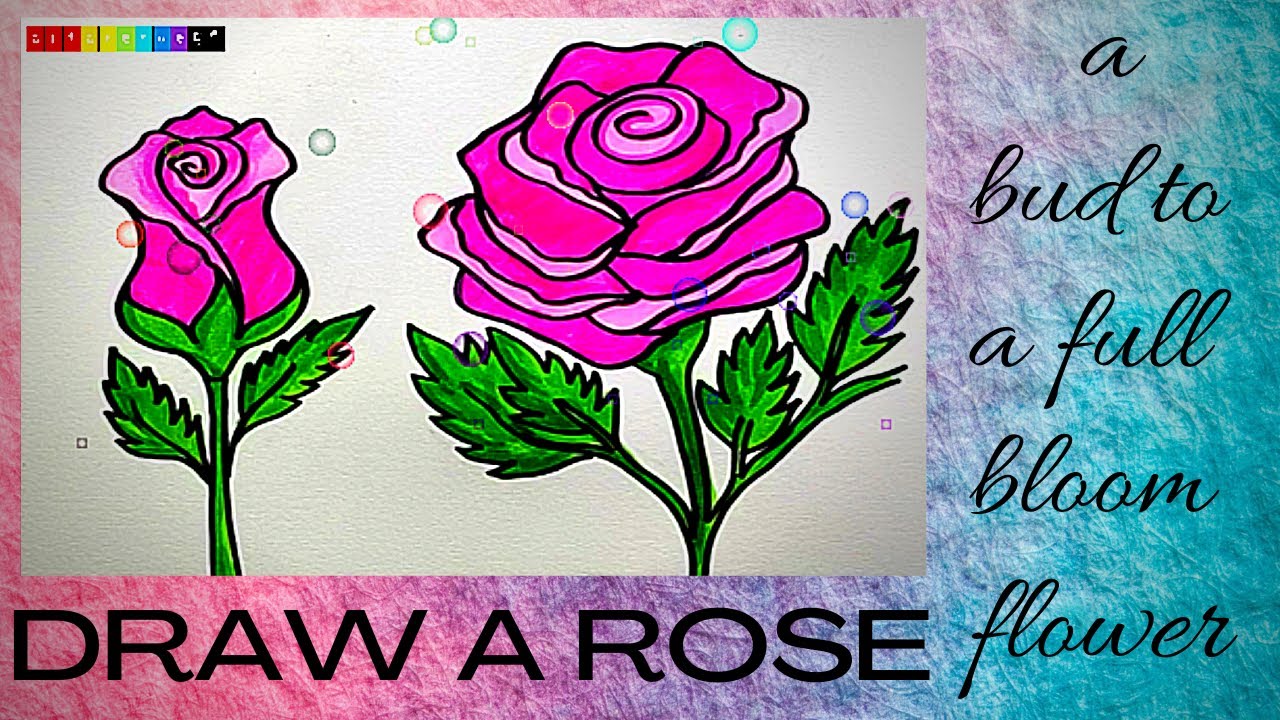 How to draw a  rose | rose bud | flower drawing | happy spring season | art lesson