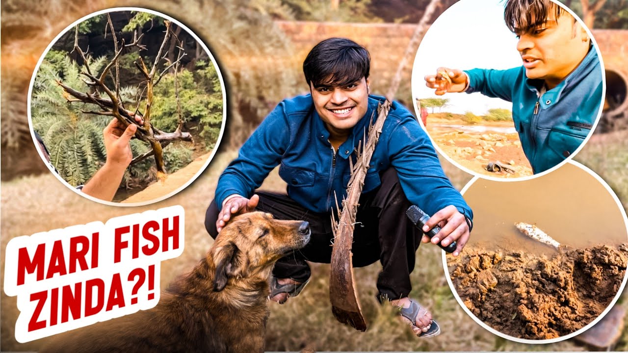 Jungle mein Fish mili l Vlogs Nishant