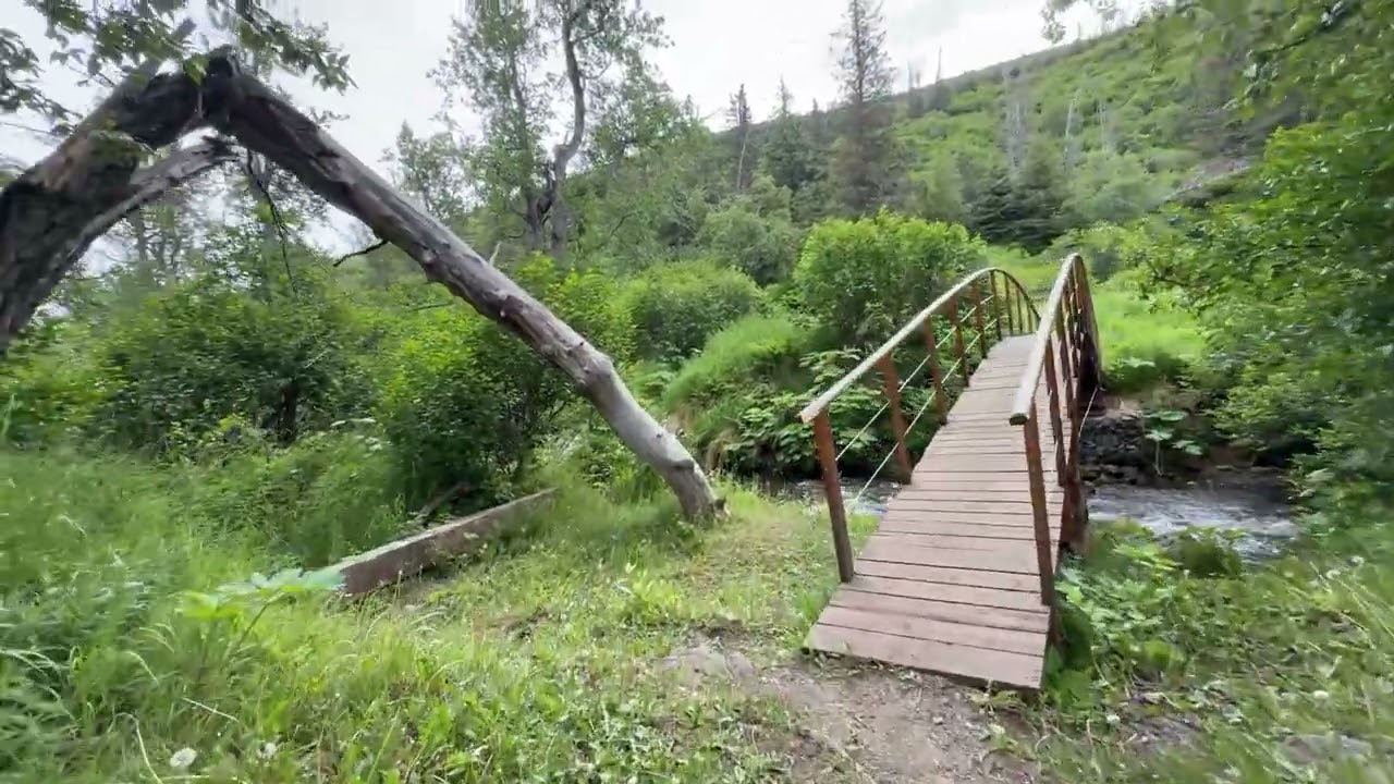Stroll Through Secret Trail in the Hills