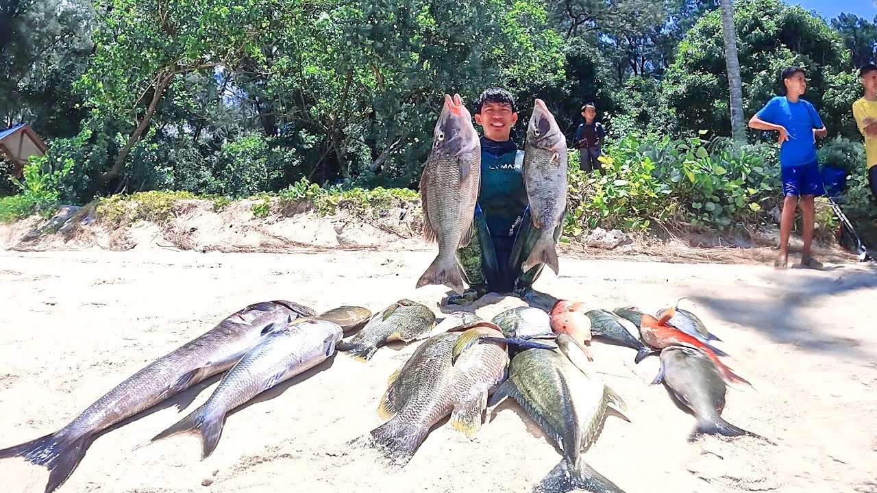 #eps 112 Ikan penghuni PANTAI KOGUNA || Spearfishing Indonesia
