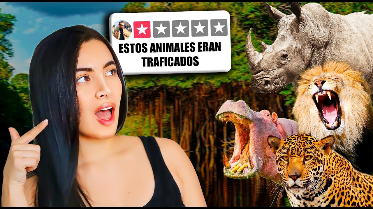 ASÍ ES EL ZOOLÓGICO DE MEDELLÍN