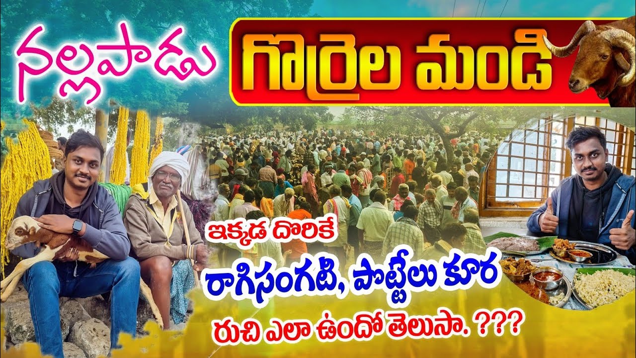 “గుంటూరు Nallapadu మండీ కి వెళ్లా మావా. ఇక్కడ రేట్లు వినగానే షాక్ అయ్యా!😂“ఇంత జోష్,| mcaluckyvlogs 🤳