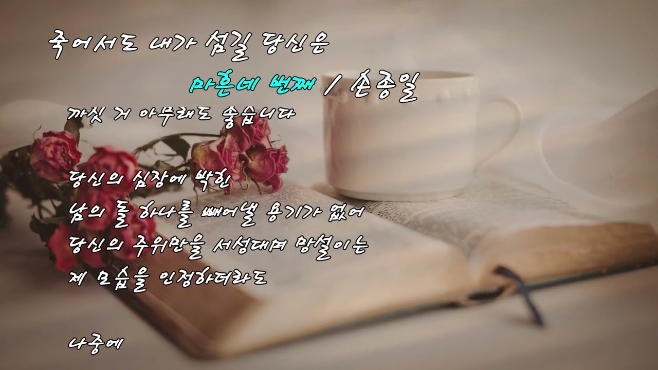 죽어서도 내가 섬길 당신은-마흔네 번째 / 손종일(영상시) 배경음악 : 상실 - 최경