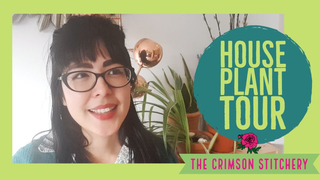 HOUSEPLANT TOUR | My tiny urban jungle in a small apartment
