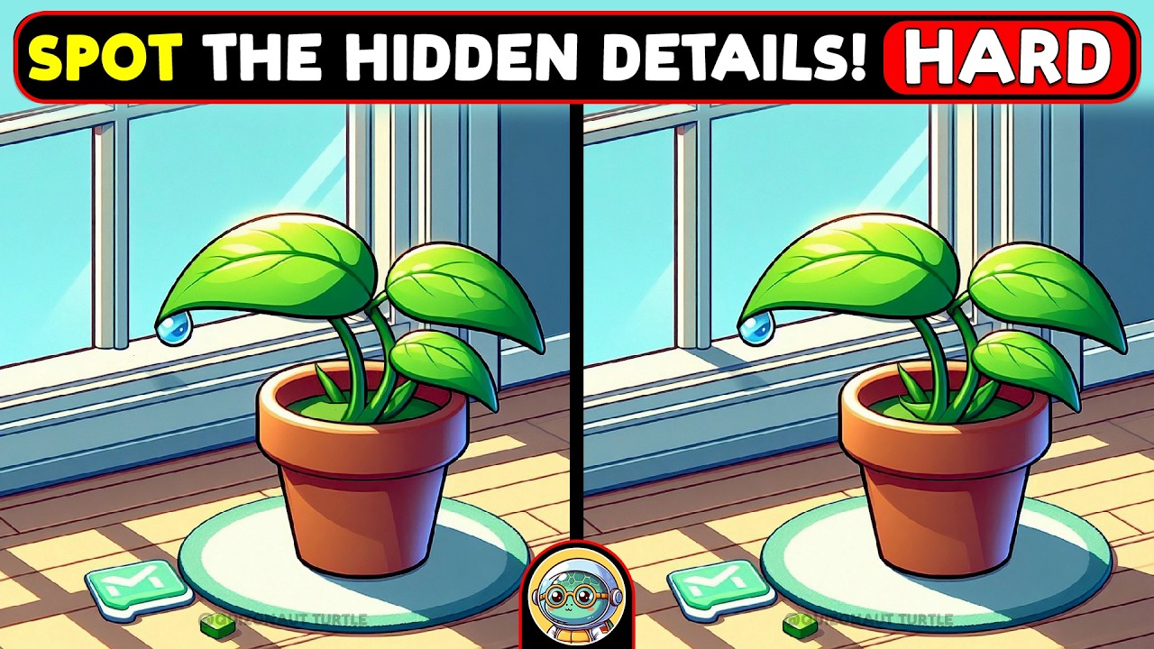 🐢🧩 Find The Difference | Are You Sharp Enough? 🧩🐢 | Quizonaut Turtle