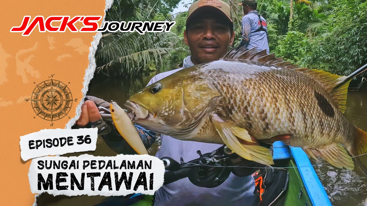EKPLORASI SUNGAI PEDALAMAN KEPULAUAN MENTAWAI PART. 1 | JACK'S JOURNEY EPS. 36