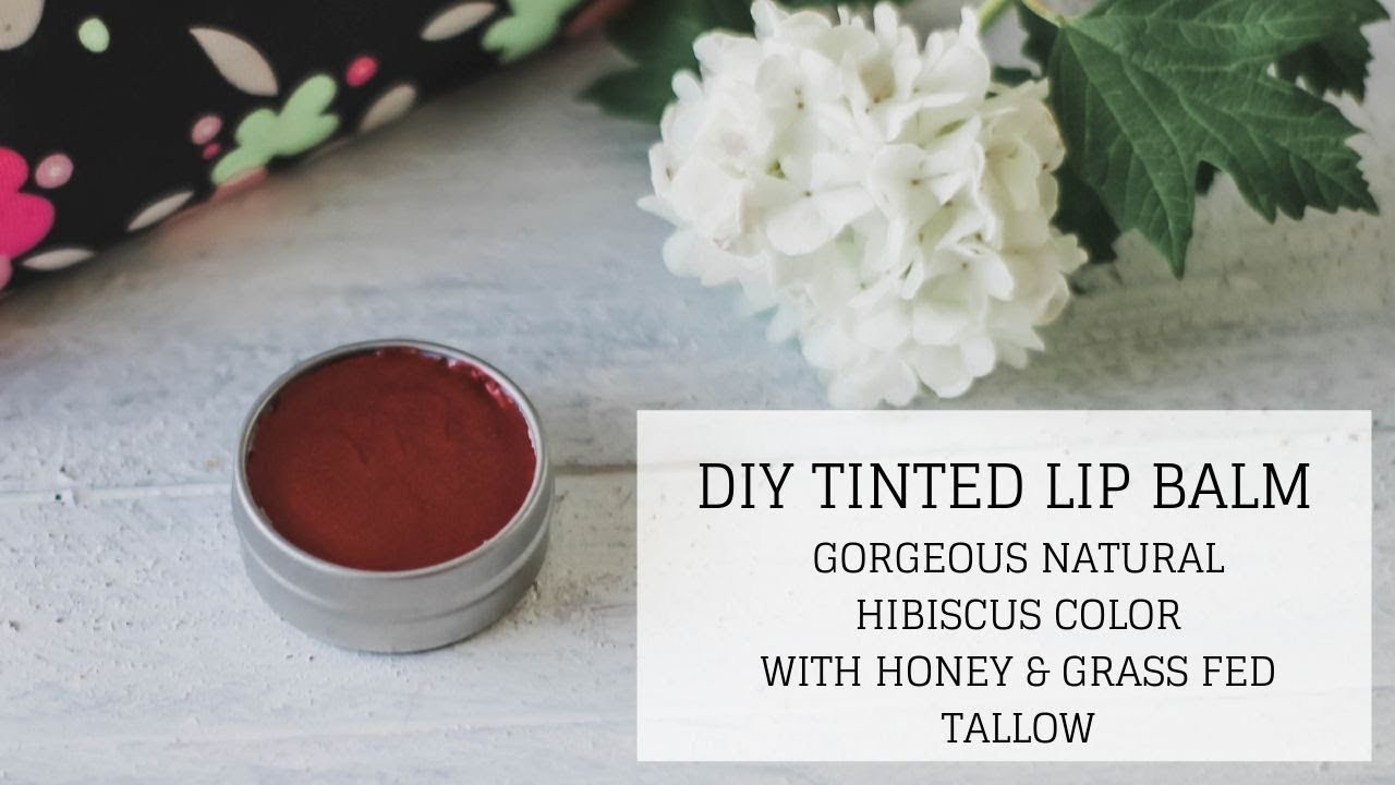 Tinted Lip Balm DIY | HIBISCUS WITH HONEY & GRASS FED TALLOW | Bumblebee Apothecary