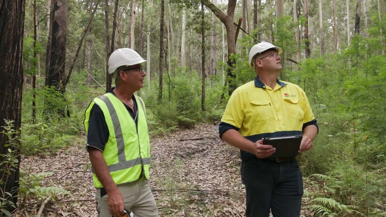 Single tree selection and thinning