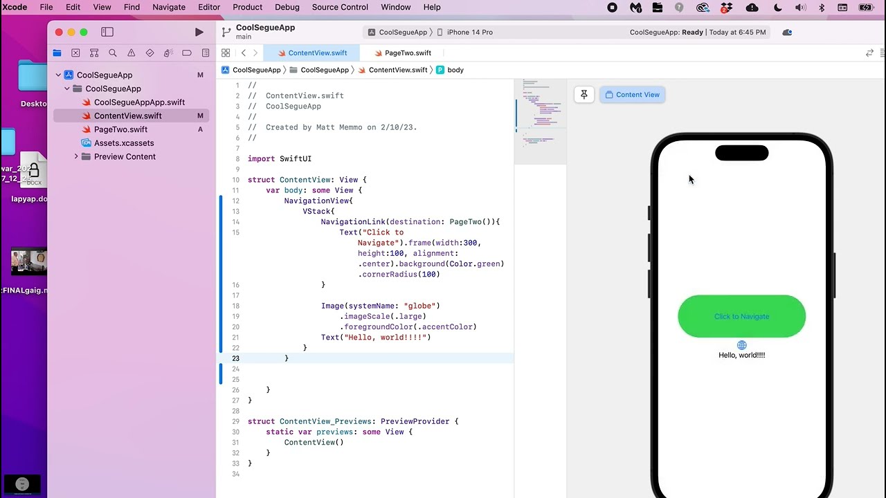 Custom Navigation Back Button - SwiftUI