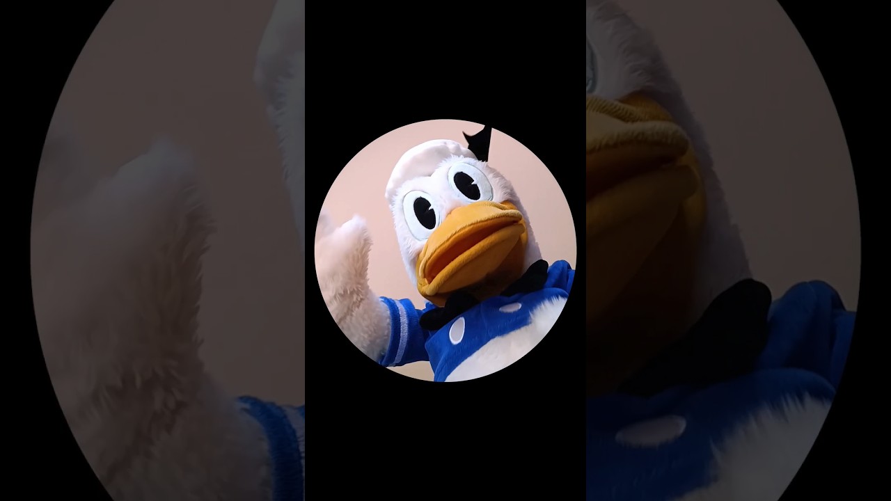 PEDRO 🦝🦆🦝🦆🦝🦆