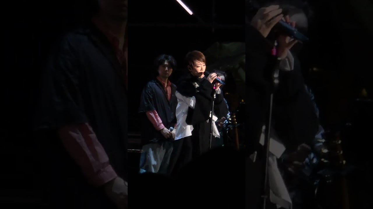 20251129 簡單生活節 林憶蓮 纖維