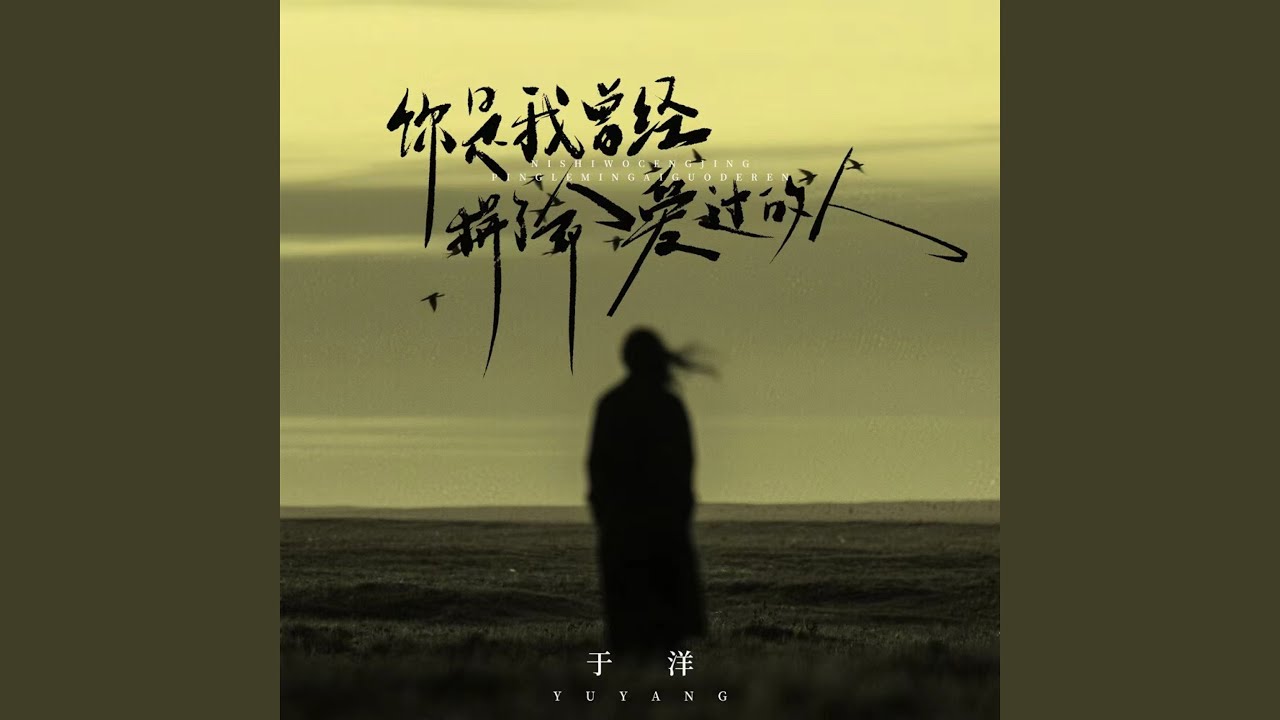 你是我曾经拼了命爱过的人 (DJ九零版)