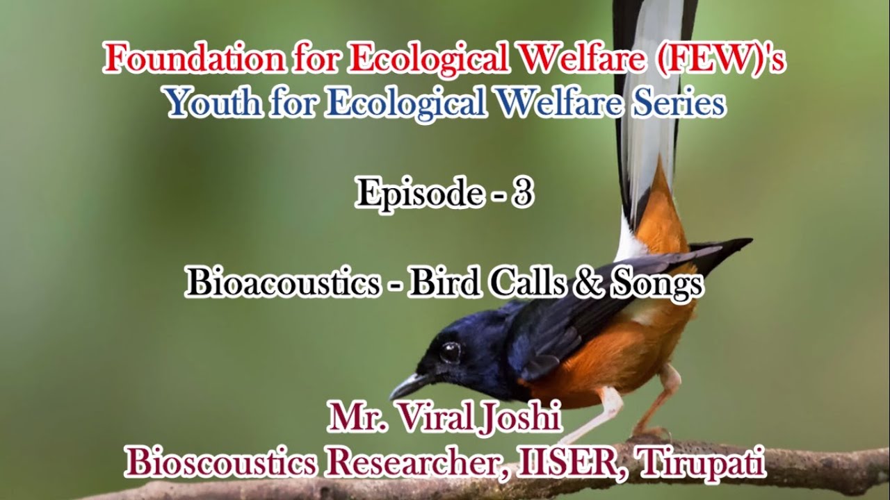 Bioacoustics - Bird Calls & Songs
